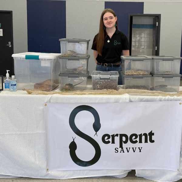 SerpenSavvy3